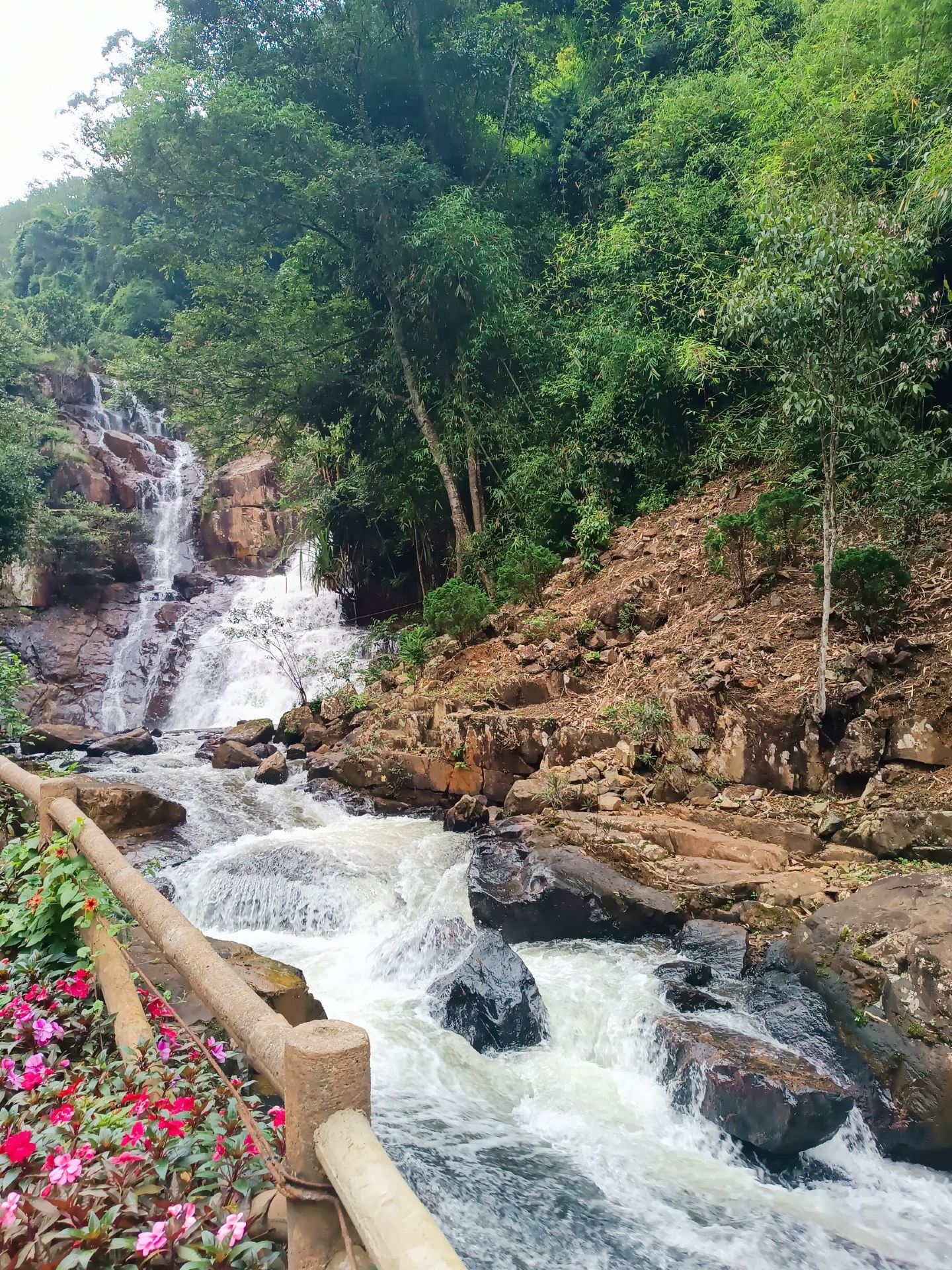 Wild Waterfalls & Jungle Fun: Exploring Datanla Falls in Đà Lạt! 🌸🌊🦍