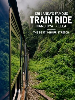 🇱🇰 Kandy to Ella Is Famous, but the Best Part Starts at Nanu Oya