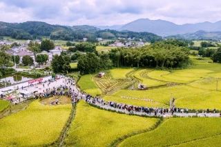 #photovsrealitytravel

準備好放鬆身心,泡個溫泉了嗎?來滎陽快速逃離喧囂吧!清新的山間空氣和氤氳的蒸氣浴能讓你徹底擺脫都市的壓力! 😌✨

必遊景點:三山森林西谷溫泉飯店

如果你想一站式充電,三山森林西谷溫泉酒店絕對是你的最佳選擇。這間溫泉度假村位於中原西路與環翠峪大道交叉口以南4公里處(鄭州市氤陽市六河鎮地回嶺村),每天9:00至19:00開放。門票價格親民,僅需39.9元。你不僅可以在鬱鬱蔥蔥的山間享受舒緩的溫泉池,還能呼吸到無比清新的空氣——完美逃離都市的霧​​霾。

小貼士:平日人少清靜!想要避開人群,拍出完美的Instagram照片,記得早點去!自備毛巾和拖鞋,既可避免額外費用,又能保持行程的簡潔。

交通出遊:

您可以搭計程車或使用當地叫車軟體—如果您自駕,飯店內停車位充足。滎陽鎮本身不大,但前往溫泉最方便的方式是開車。

餐飲:飯店內設有簡易咖啡廳,供應當地小吃和熱飲-非常適合泡溫泉後補充能量,但為了徹底放鬆身心,建議您在泡溫泉前先吃些清淡的食物。

其他:溫泉水富含礦物質,對皮膚非常有益。泡溫泉前後記得補充水分!如果您打算在池畔拍照,請將貴重物品存放在儲物櫃中,並攜帶防水袋保護您的手機。

#滎陽之旅 #溫泉之夢 #養生之旅