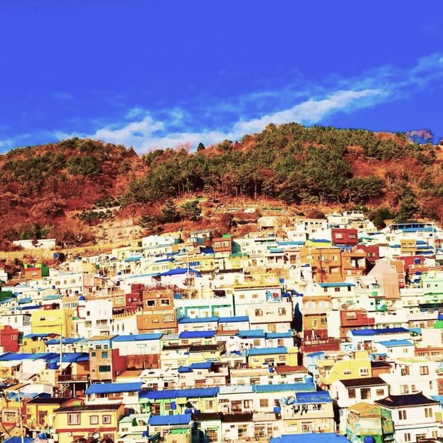【釜山🇰🇷】2泊3日の釜山旅レポ✈️