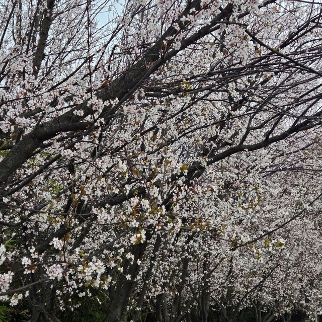 Magical Escape from the City 1 hour from Wuxi!