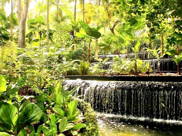 新加坡國家公園局