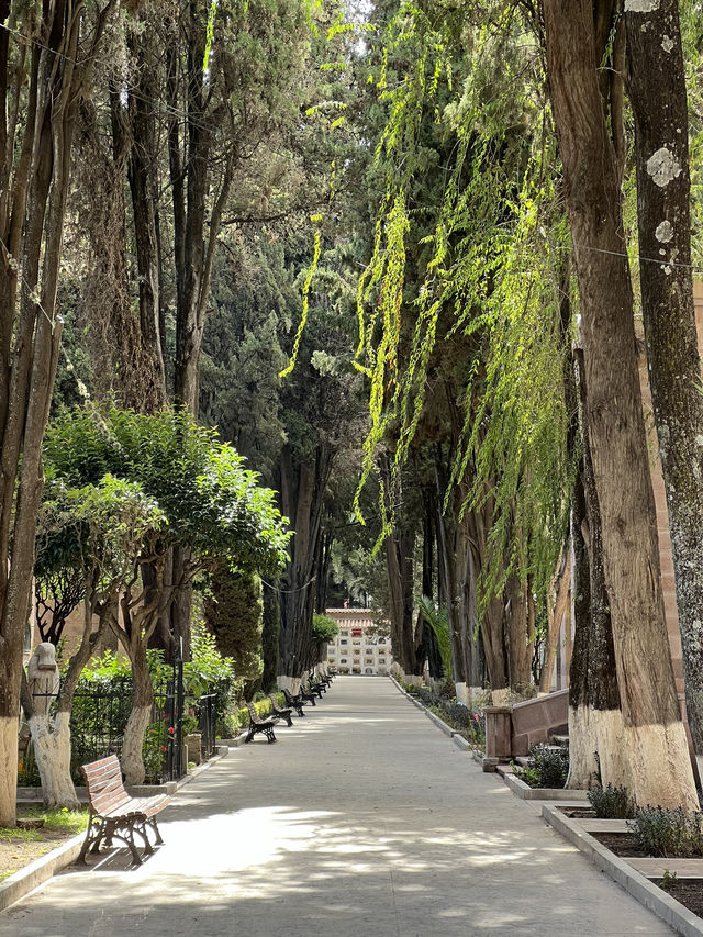 Celebrating Life in Sucre Cemetery 🇧🇴