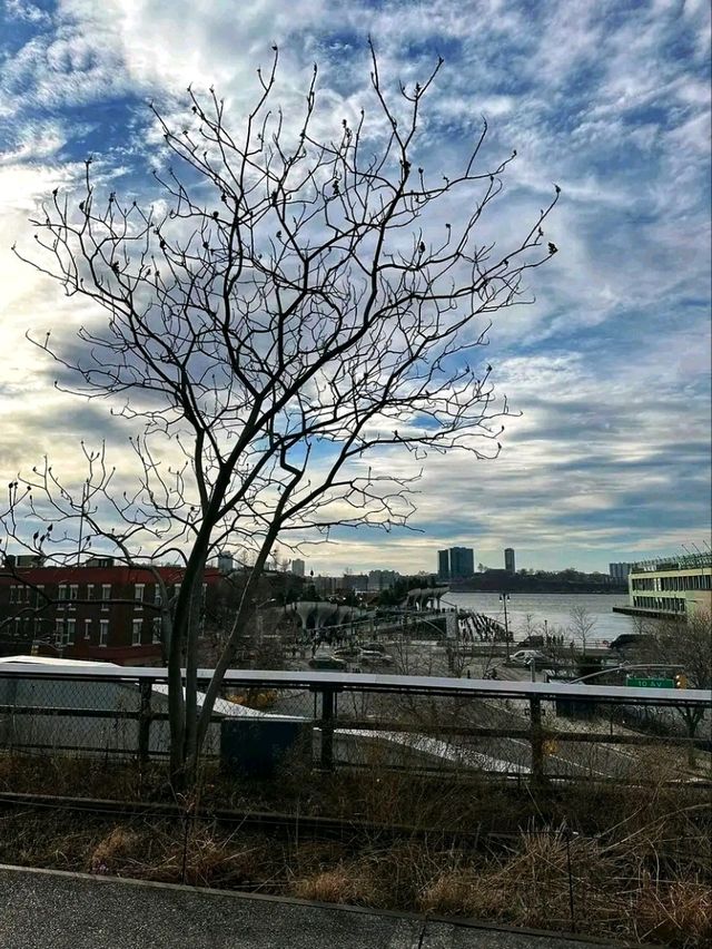 The High Line, New York City – Elevated Evening Stroll Above the Streets