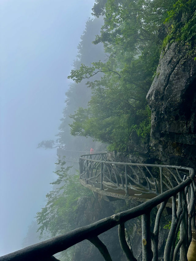 A Climb into the Heavens ☁️
