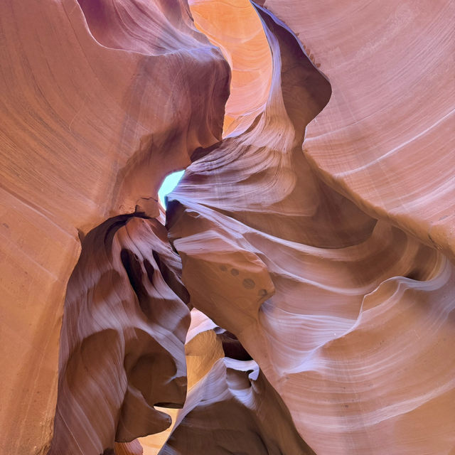🇺🇸アンテロープキャニオンでアメリカの息をのむ絶景ツアー📸🏜️
