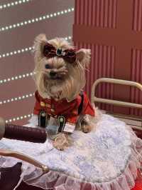 Noëlia at LANDMARK: Christmas village & wishing lake in Central