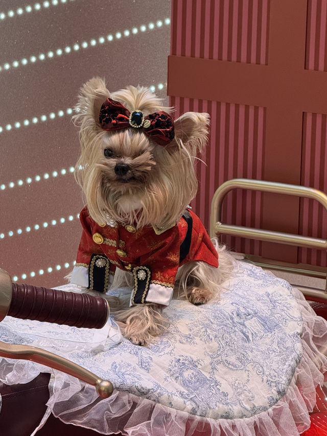 Noëlia at LANDMARK: Christmas village & wishing lake in Central