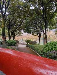 鶴鳴洲綠意散步好去處🌳