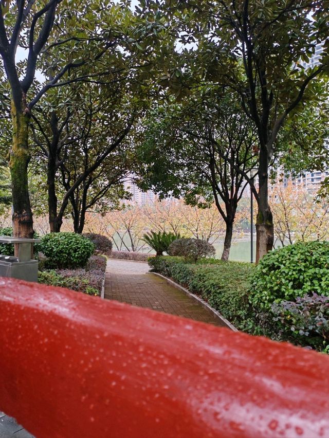 鶴鳴洲綠意散步好去處🌳 鶴鳴洲綠意散步好去處🌳