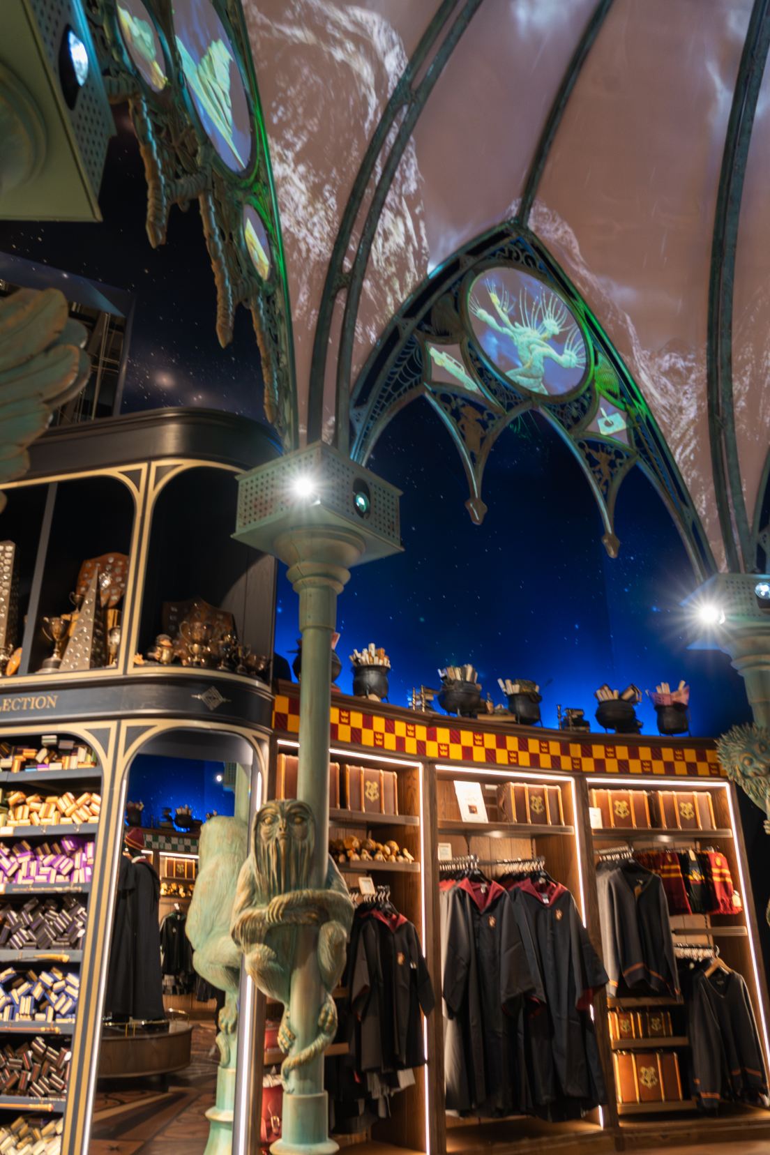 Hogwarts Library Portraits, the Forbidden Forest, Great Hall, Frog