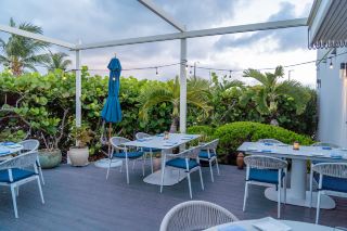 Cayman Cabana Beach, Turtle Feeding, Sound Bowls, and Dinner