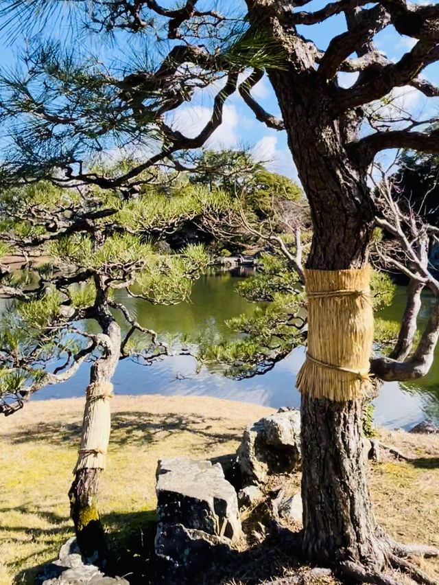 【滋賀県/玄宮園】