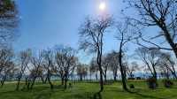 Florya Coast Park