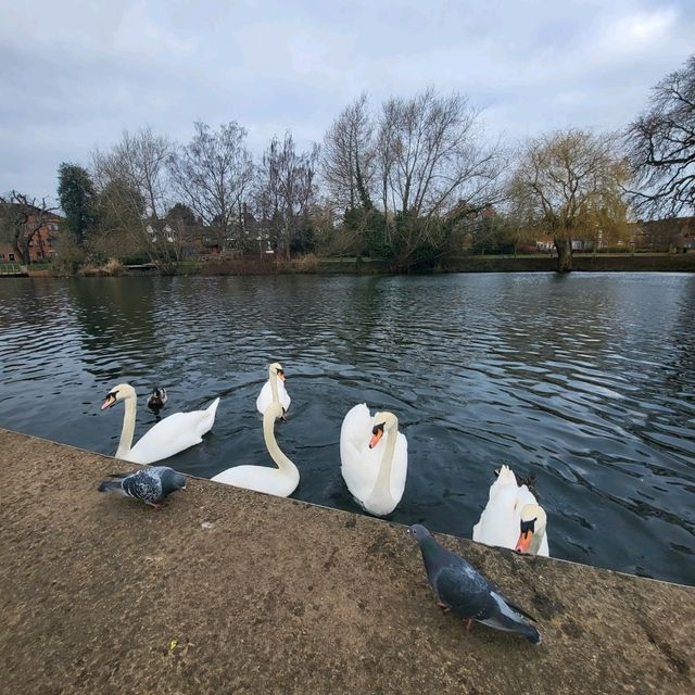 Stratford upon avon