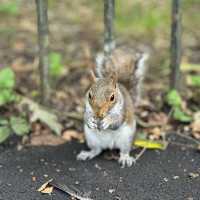 海德公園 Hyde park 