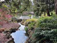 Royal Tasmanian Botanical Gardens 🌼