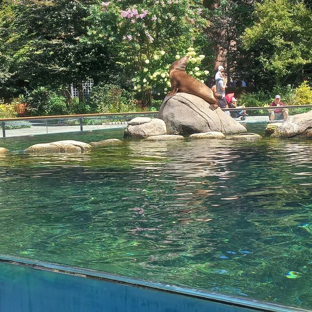 Central Park Zoo 🦏🐟