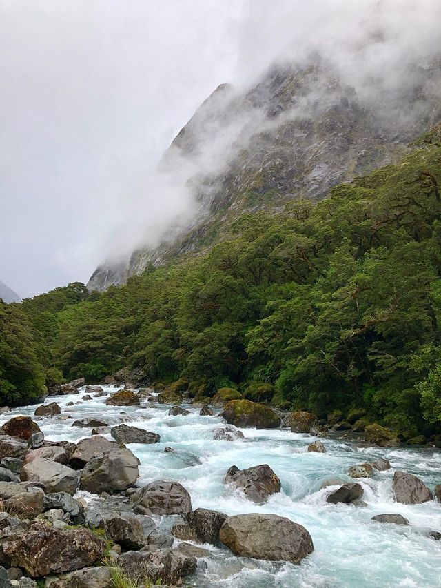 Adventures in New Zealand's Fiordland
