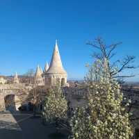 Gorgeous Church