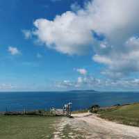 Durdle Door Dreams: Coastal Beauty and Serenity