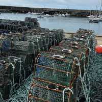 Fishing of the coast of Spain 🇪🇸