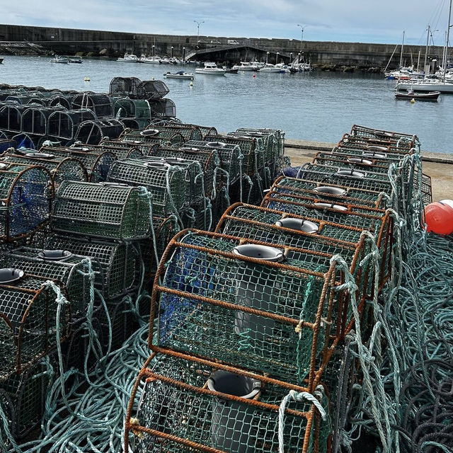 Fishing of the coast of Spain 🇪🇸