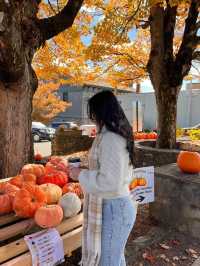 가을의 샬럿 탐험 🍁