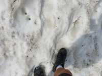 Mountain Hike in Slovakian High Tatras