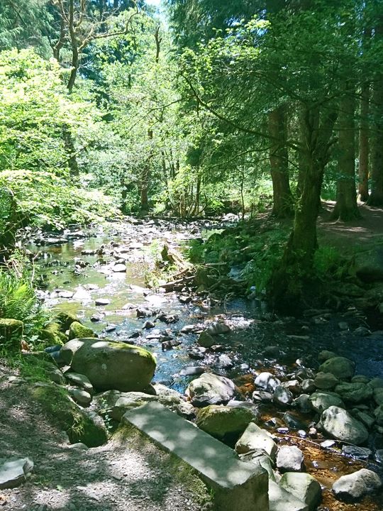 Cycling & Hiking Adventure Through the Trossachs: From Crianlarich to Glasgow