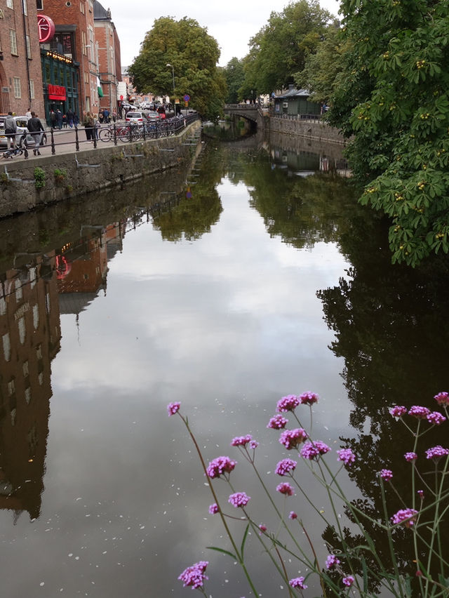 Uppsala: A City of History and Culture