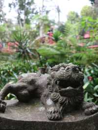 Garden Highlights 