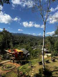 パイに行くべき5つの理由🇹🇭✈️🌎