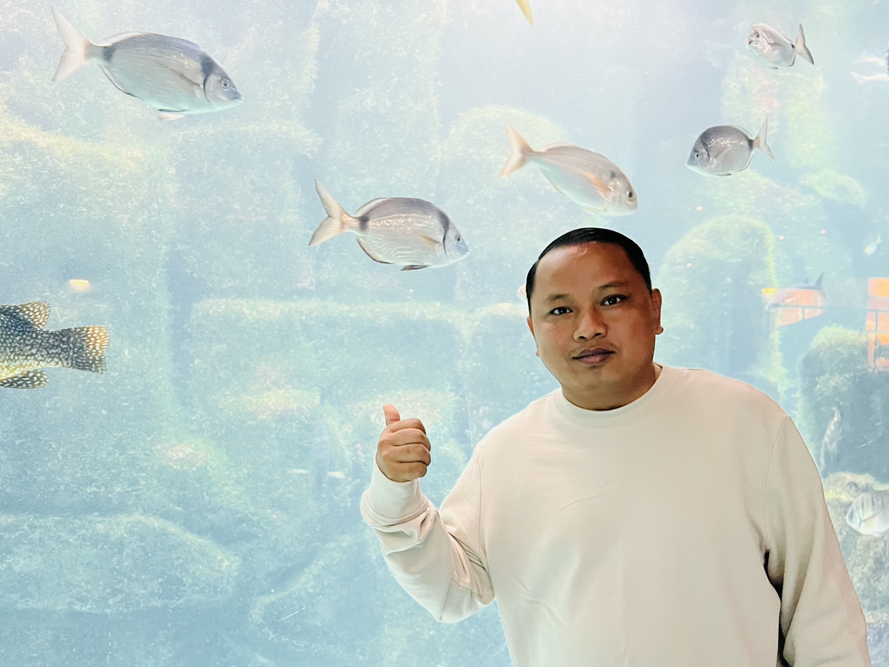 ที่นี่ผมสามารถพบเห็นปลาทะเลหลายชนิดพร้อมเรื่องราวอันยาวนาน