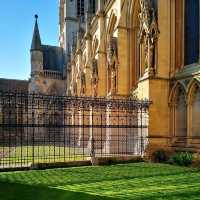 Spring in Cambridge: Where Ivy Grows and Rivers Flow