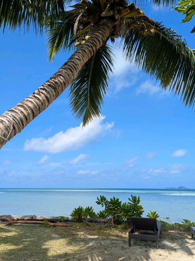 Discover Paradise on Earth: Seychelles 🇸🇨