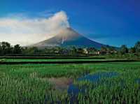 Mount Mayon: A majestic volcano in the Philippines!