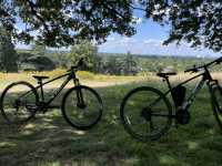🦌 Royal Wilderness Escape: Richmond Park Adventure