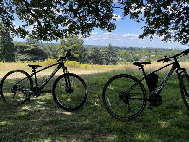 🦌 Royal Wilderness Escape: Richmond Park Adventure