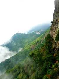 Wugongshan: Sea of Clouds & Alpine Dreams🏔🏞