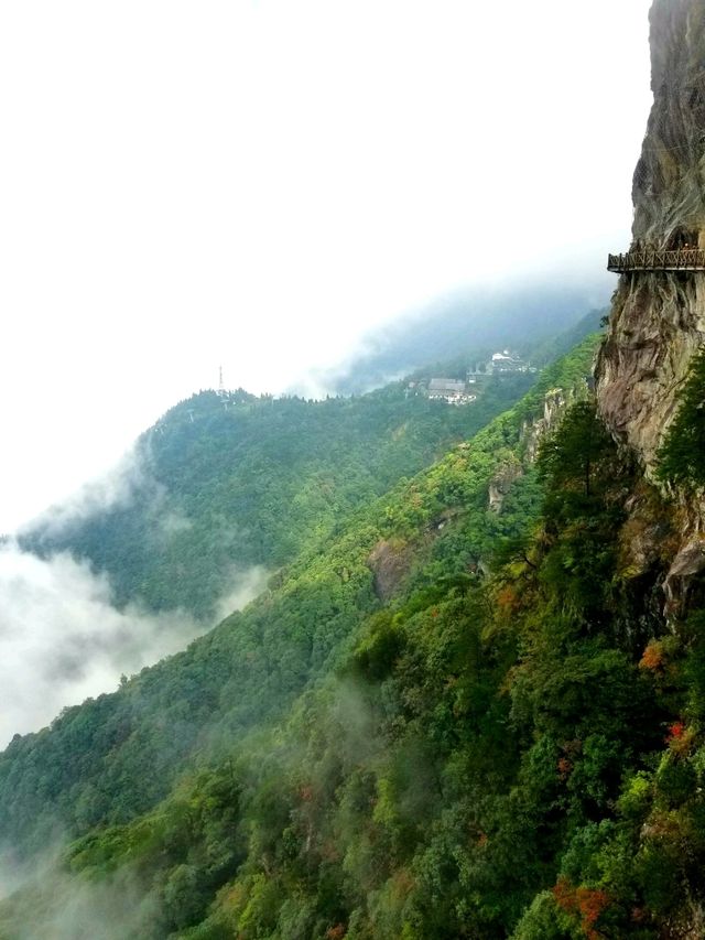 Wugongshan: Sea of Clouds & Alpine Dreams🏔🏞