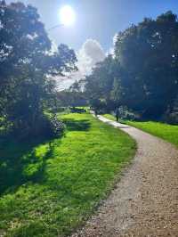 Southampton Common 🌳☀️