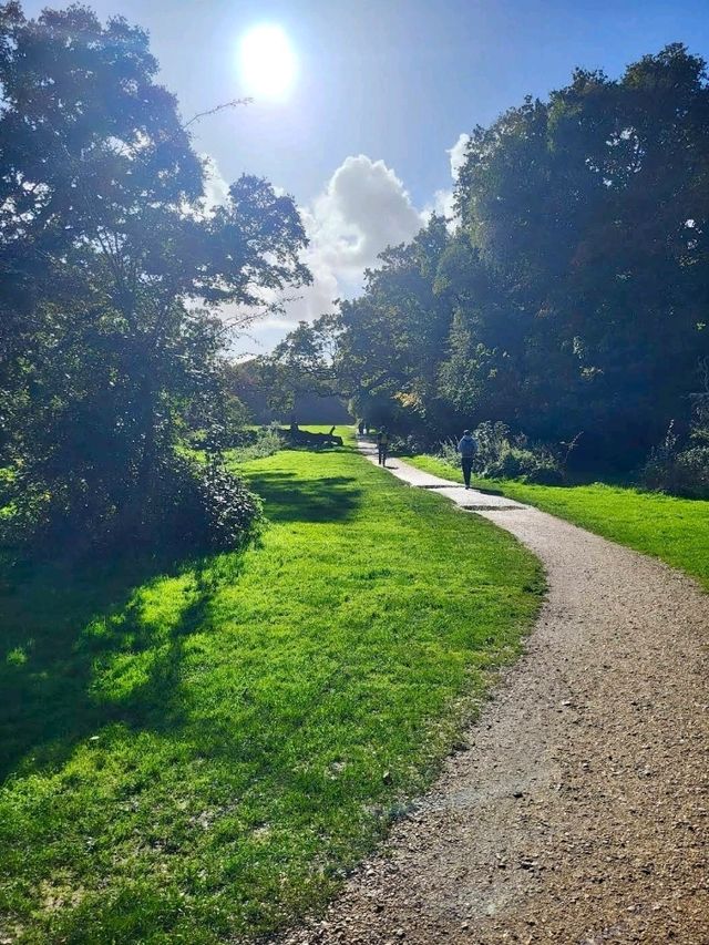 Southampton Common 🌳☀️