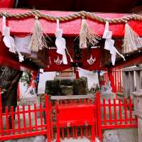 Tokyo to Nagoya: City Sights, History & Local Flavors