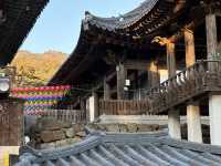 South Korea Itinerary 4: Daegu's Hidden Gem Getaway