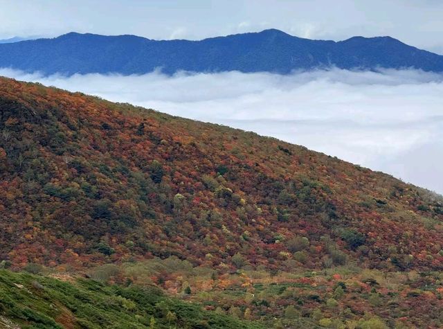 🔥 Journey Above the Clouds: Conquering Mount Nasu’s Fiery Peaks & Hidden Shrines 🌋☁️