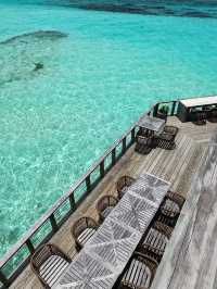 Living Like a Mermaid & Aqua Man at Jawakara Island Maldives ☀️🌊✨