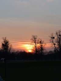 A Peaceful Day Trip to Richmond Park: London’s Countryside Escape 🌳