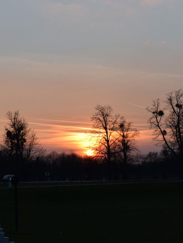 A Peaceful Day Trip to Richmond Park: London’s Countryside Escape 🌳