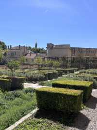 Папские сады в Авиньоне